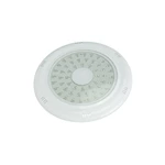 20W RGB Small Swimming Pool Light