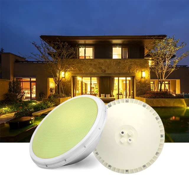 ERP LED Pool Light Par56