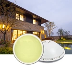 Bright LED Pool Light